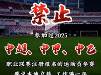 乐鱼体育app下载-其实球队宣布签下新前锋，引发关注