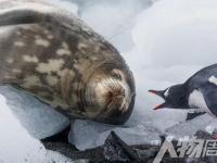 乐鱼体育电竞-南极洲球队击败对手，晋级南极锦标决赛的简单介绍