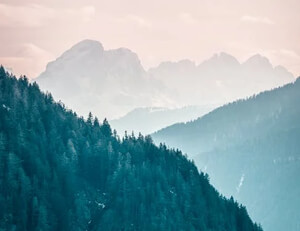 科比独得分：火箭胜森林狼，热火惨败