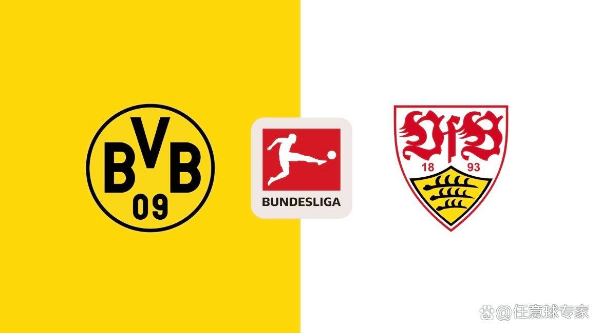 斯图加特球队宣布新援已经加盟，期待其表现的简单介绍