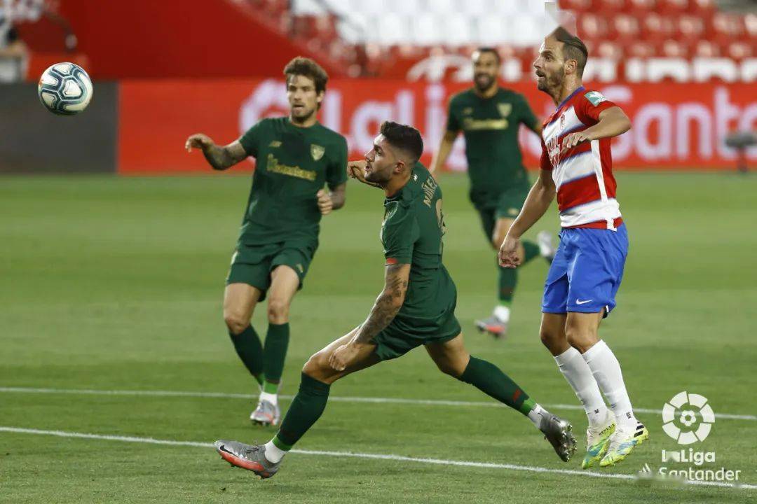 包含格拉纳达逼平领头羊，表现可圈可点的词条