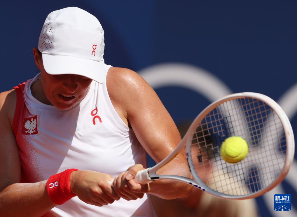 网球选手技艺超群，打出精彩回球的简单介绍
